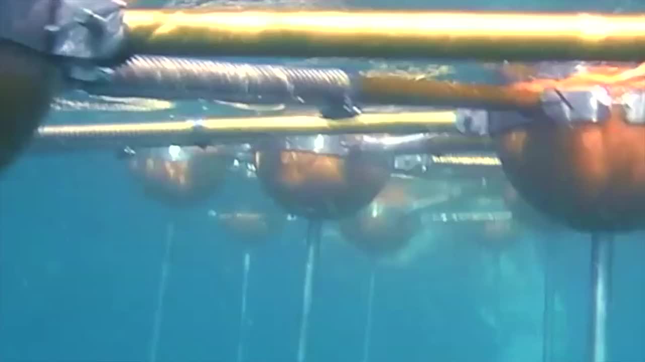 Ocean Buoy Grid